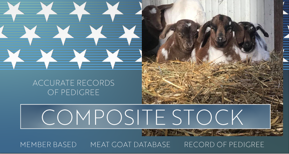 Composite Stock Record
