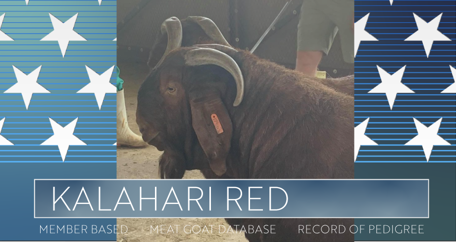 Get Your Herd Book Number